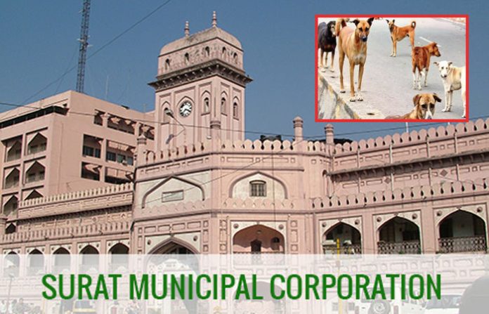 content_image_8d67a73f-57fb-4835-8803-e0824ff43730