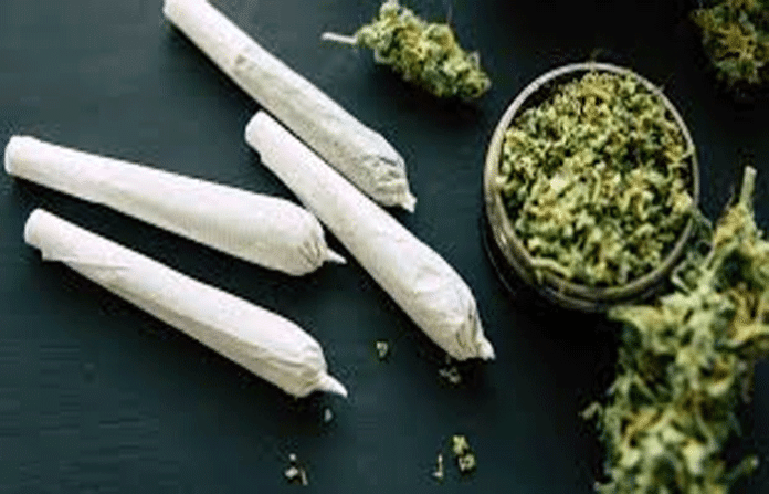 content_image_8e8806f6-9b69-4c79-91ae-153bba0c516c