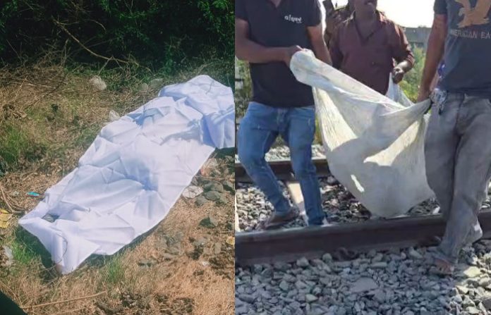 content_image_90a9d717-89ce-4802-91fb-0722557f65a8