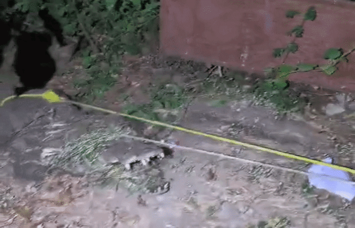 content_image_94cbbcf6-1cb8-45f9-a5a7-a6d54ce96590