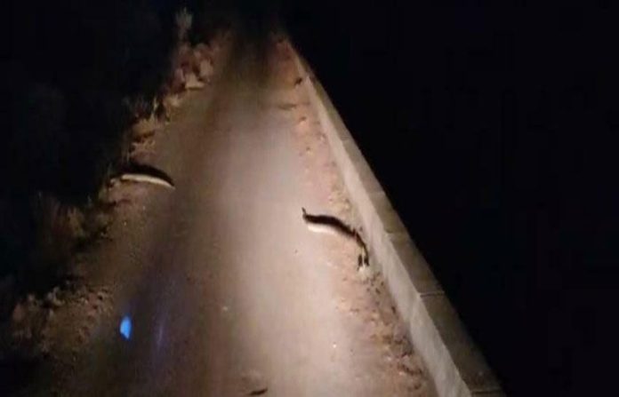 content_image_aa470b64-9db5-4d02-bbdb-a03254e6e289