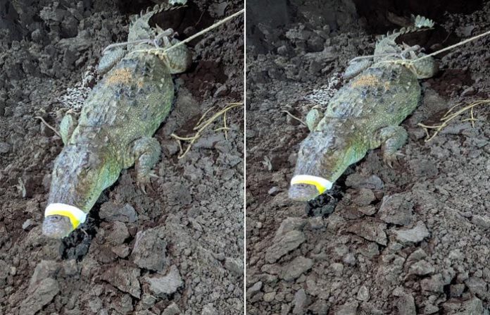 content_image_adc94e47-33dd-4f94-afb0-6895497a8501