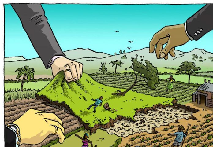 content_image_b46cd1d3-1bc8-418a-a8ba-d1bec312ca05