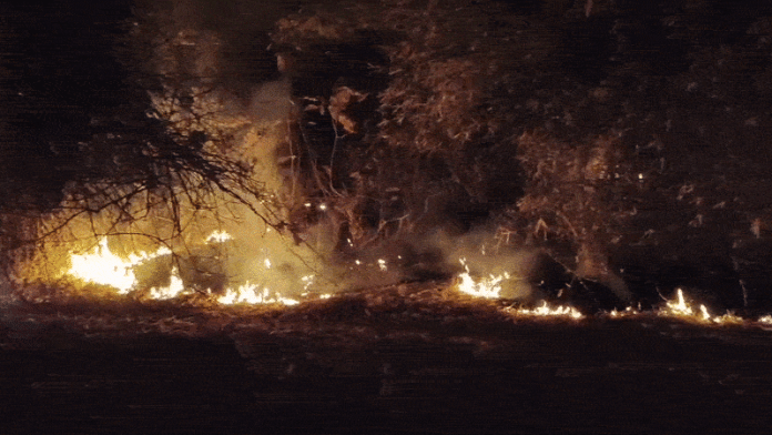 content_image_b50035b1-44a6-4edb-a409-7a3620be3767