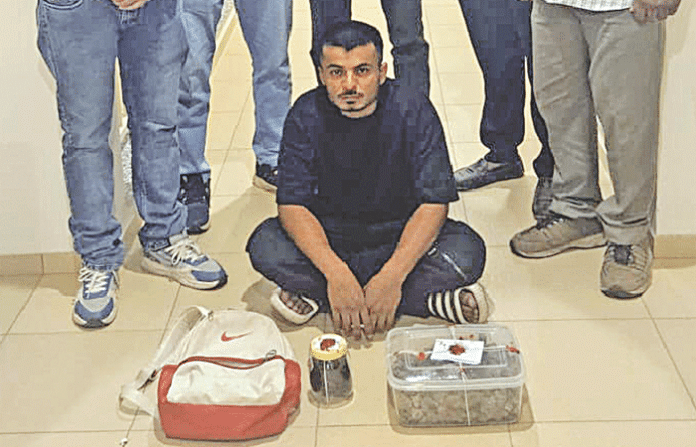 content_image_b6556376-e878-40c9-a030-27734c6d4052