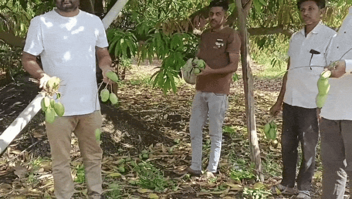 content_image_be0cf877-dce5-42b2-b4b7-ec49f14d3188 (1)