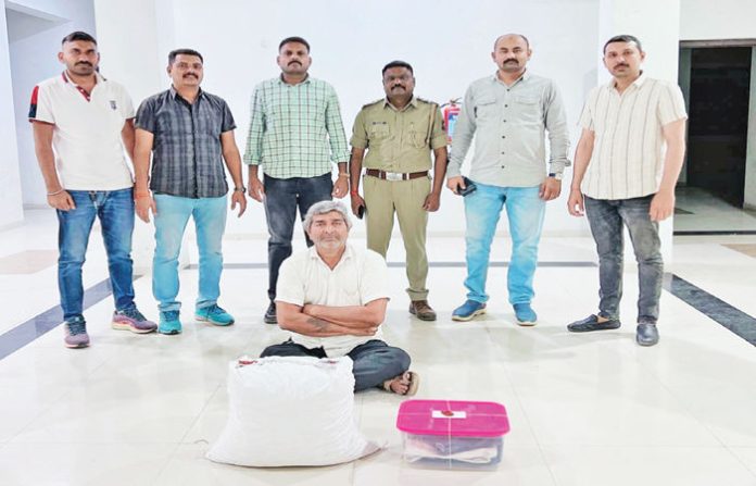 content_image_d4c81704-dddf-42ba-a242-006e83905372