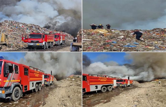 content_image_d71b84a6-80b3-4996-8934-cc9ba8b75c20