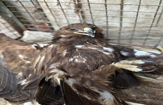 content_image_e053456e-c5aa-4028-a9fe-ef5d9be0f6ee