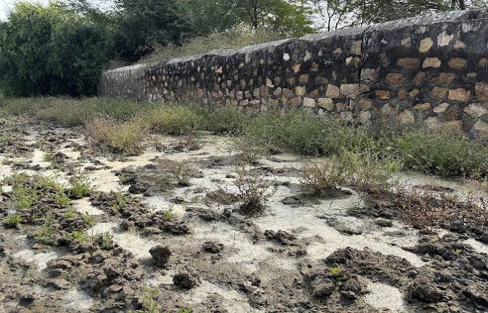 content_image_e54397a9-bf7e-42fb-b869-8066e7af8d88