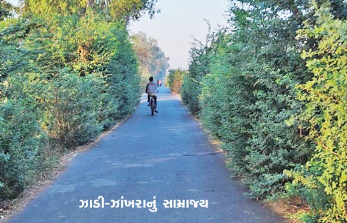 content_image_ed854c1f-7278-4b05-bdae-c79621063a06