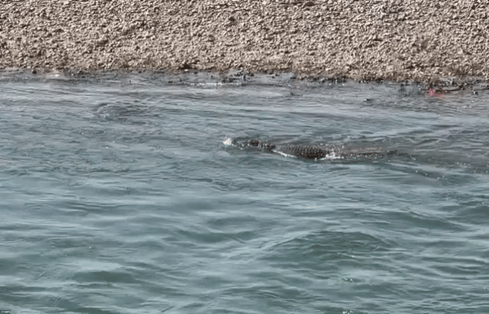 content_image_fb53f37c-b749-4882-b2bf-7f7ecbf54607