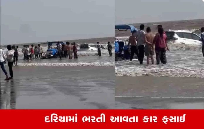 1UYKPGgRNqceppG6UruTkYZGQLSpx4Md9JnVOs3z