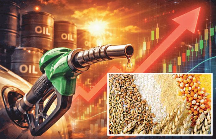 content_image_223ebc88-4559-4777-8635-165508e0ff0d