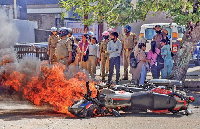 content_image_2c04f009-c7a5-48b3-b616-f4557768b7b9