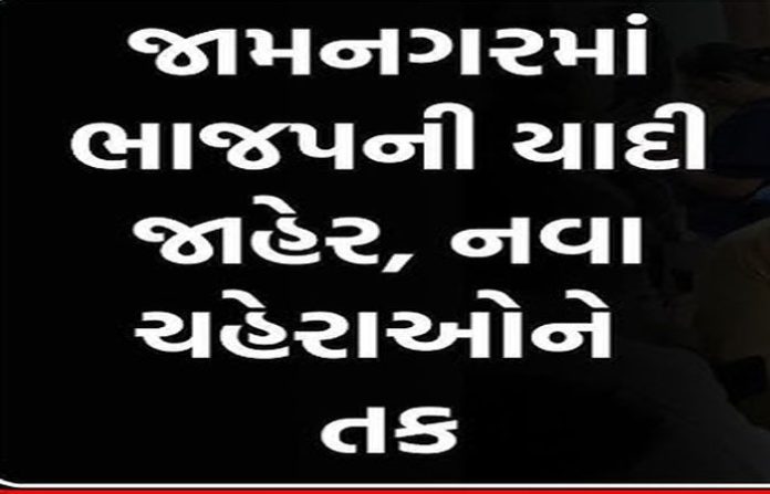 content_image_2eeda2b9-799e-4e2f-84b0-0ca6122aaf4f