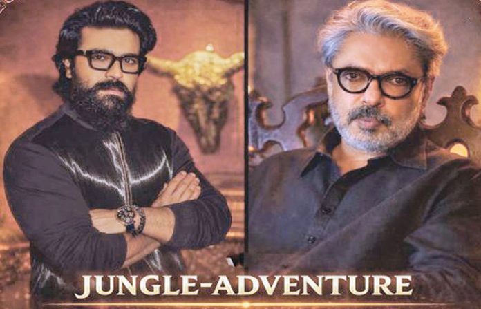 content_image_495b1f85-c99d-4746-b0c3-e38d8b31d773