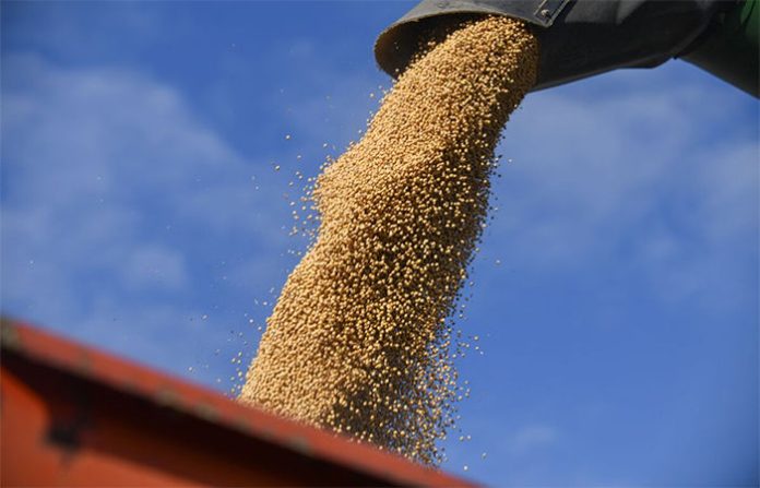 content_image_50ff12b5-adf1-468e-be83-04c04115f97c