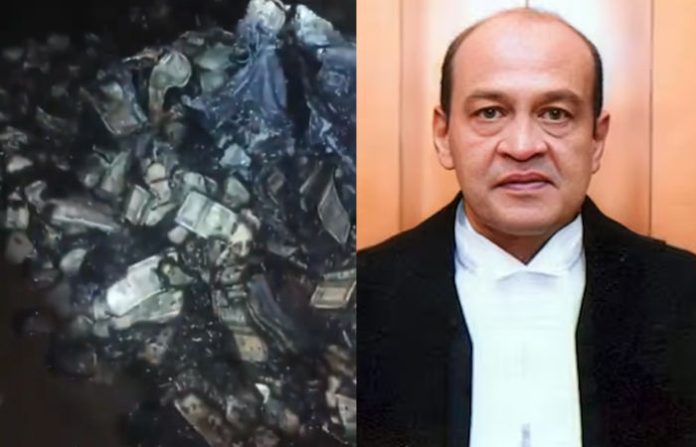 content_image_6c2202da-9947-4719-9d62-02ff5f41deda