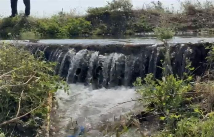 content_image_7e50ca5b-1463-49c5-a439-55a30e397dc7