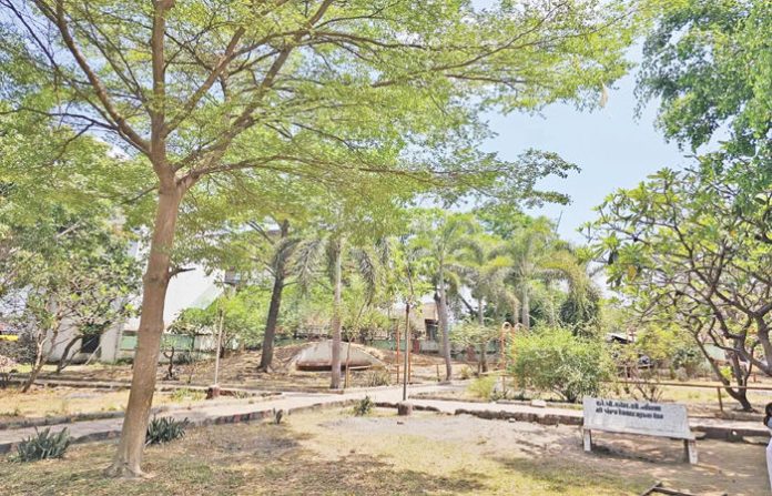 content_image_85cefa1b-a5e7-4024-a53e-f6434617f5c2