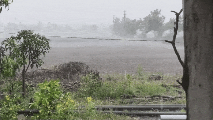 content_image_a908b88b-ccbd-449a-a9bd-7469e0847e16