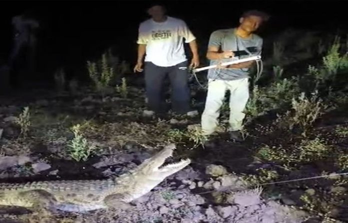 content_image_ac276a53-6858-43aa-918b-0153046f7460