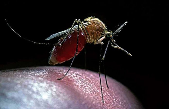 content_image_ac4624e4-3be0-46ad-8d3b-cc00bf79baa5