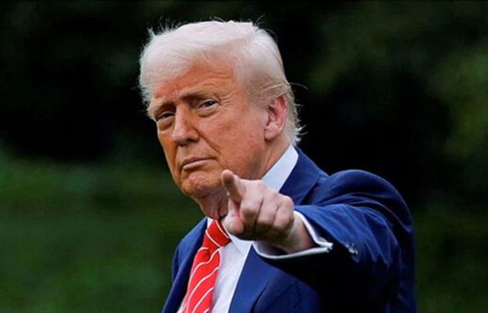 content_image_acc4fa1e-f7f0-45f2-b803-afffdb1009b4