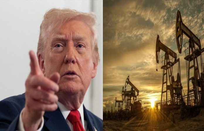 content_image_b92a0a46-f790-4640-8c05-0efb49e7f7f0