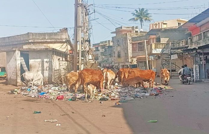 content_image_d1b1999a-4495-4e68-9715-dfcb1e722611 (1)