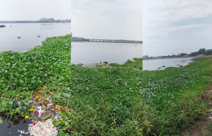 content_image_d245ceb2-64be-4e02-9c70-5fdd2f69938c