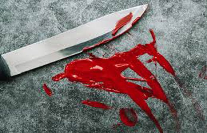 content_image_e233761e-179e-4b23-990e-ea5903f13c62