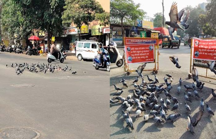 content_image_ffab113a-f69d-45f3-8cfd-bdc042155686